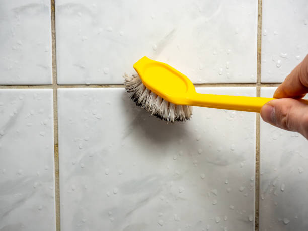 Best Affordable Mold Removal  in Milmay, NJ