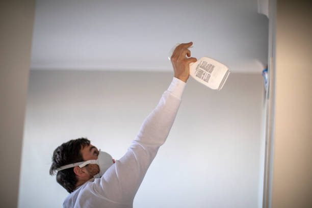 Best Affordable Mold Removal  in Milmay, NJ