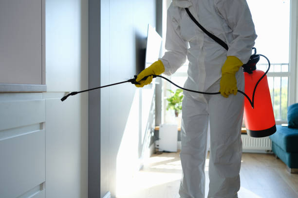 Best Commercial Mold Removal  in Milmay, NJ