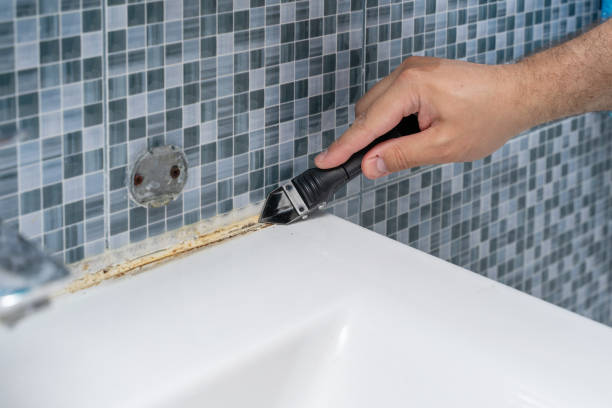 Mold Removal and Inspection in Milmay, NJ