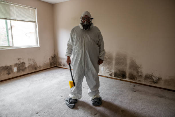 Best Residential Mold Removal  in Milmay, NJ